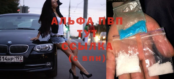 индика Алексин