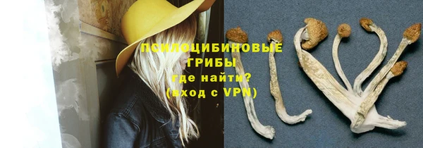 MDMA Premium VHQ Нязепетровск