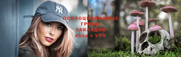 индика Алексин