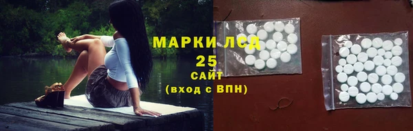 индика Алексин
