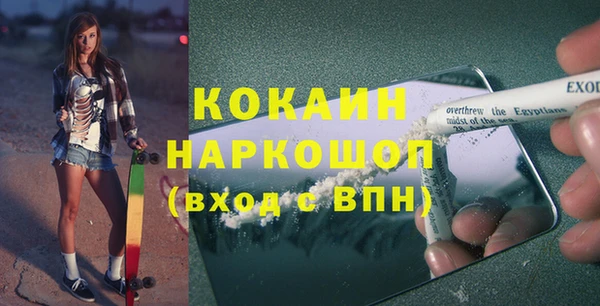 индика Алексин
