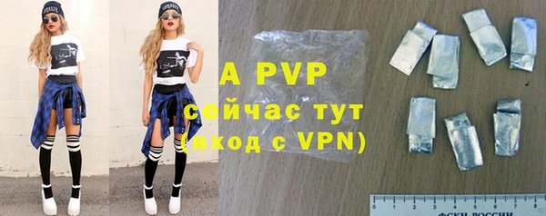 индика Алексин